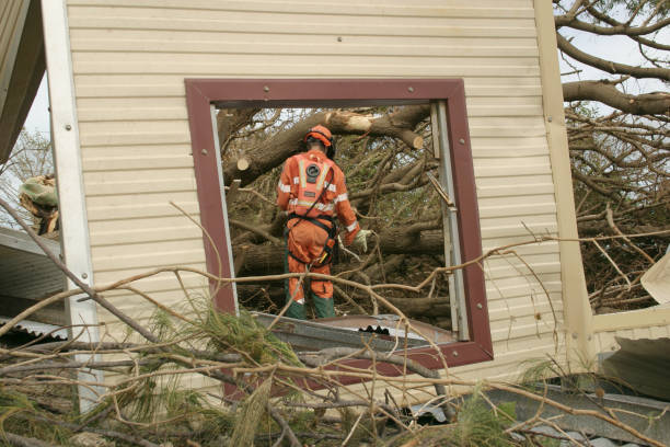  Viera East, FL Tree Services Pros